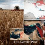 Wheat field with combine harvester, war maps and financial trader symbolising profit from war economy and resource control